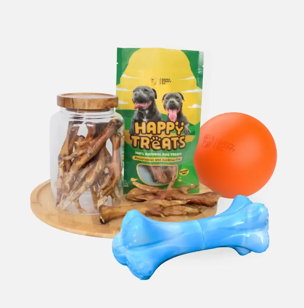 Mini Black Friday Bundle
