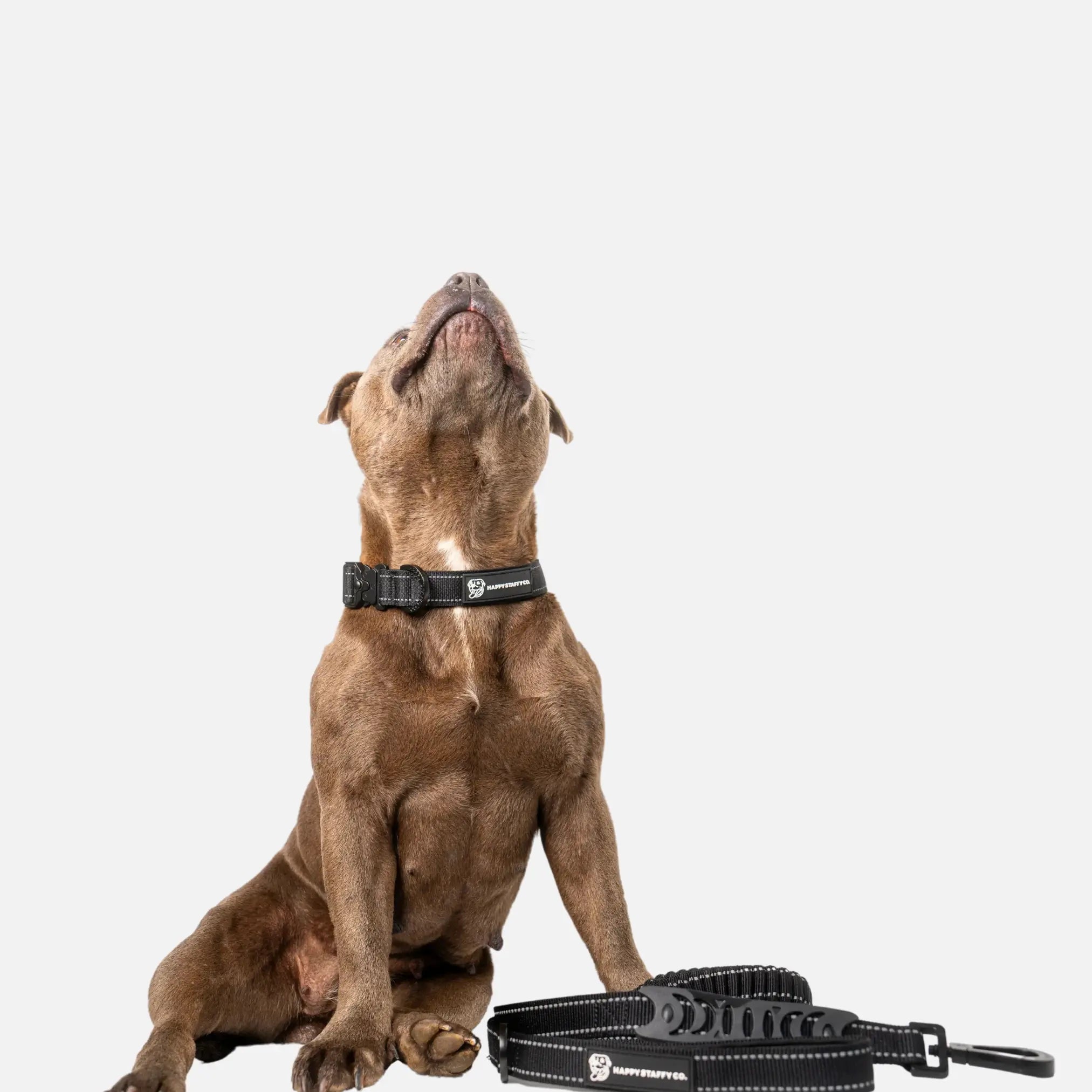 Walkies Starter Pack