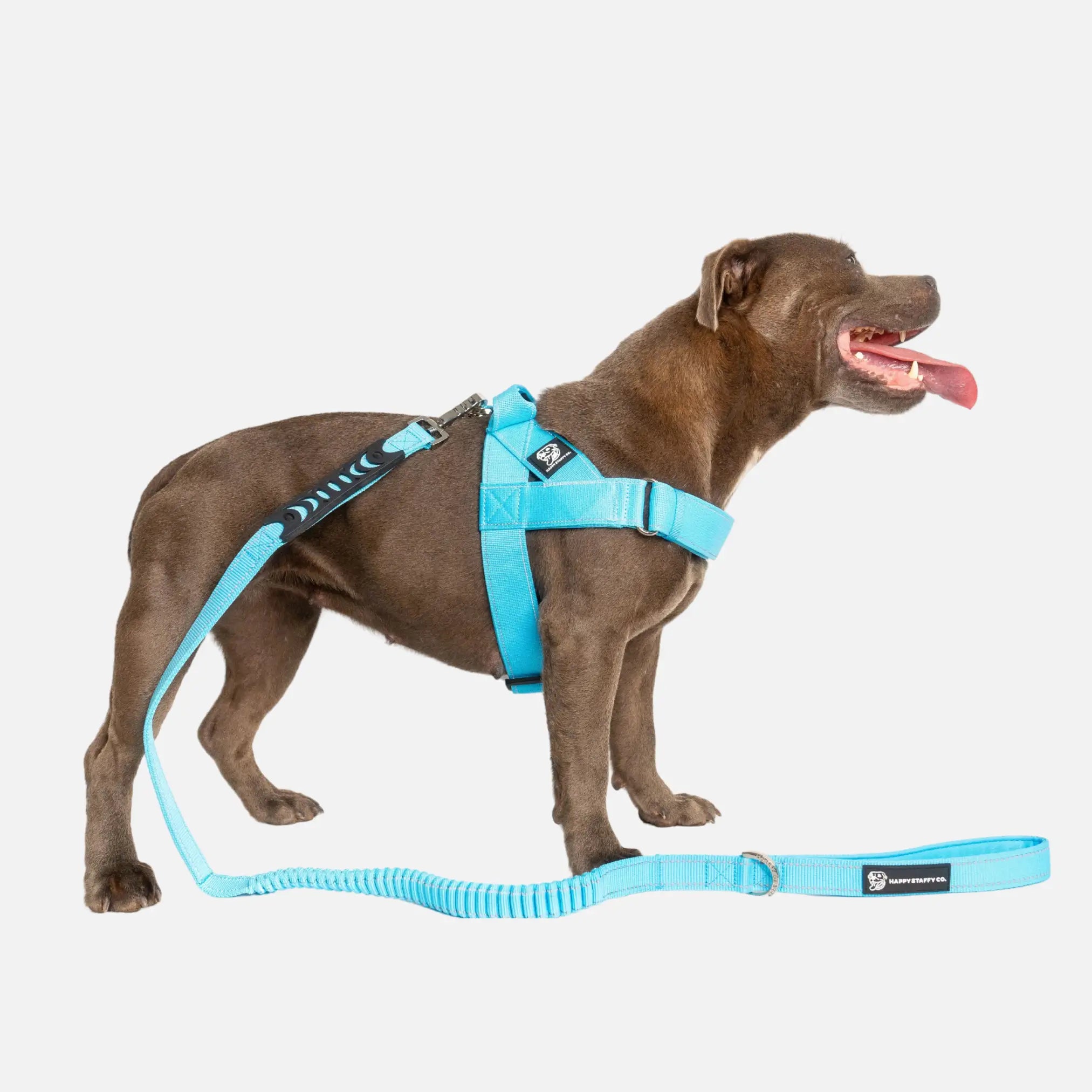 Walkies Starter Pack