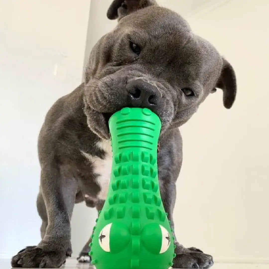 Crocodile Dental Chew