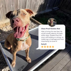Chew-Proof Outdoor Dog Bed