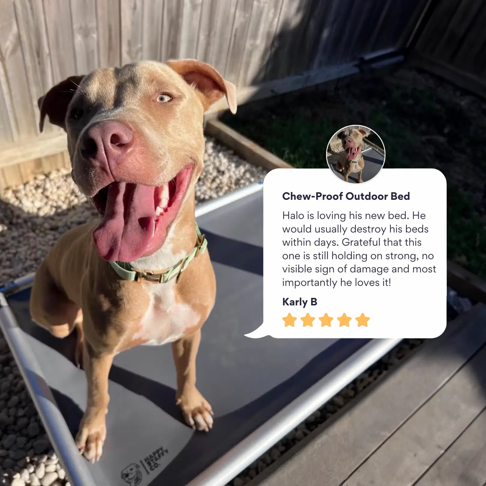 Chew-Proof Outdoor Dog Bed