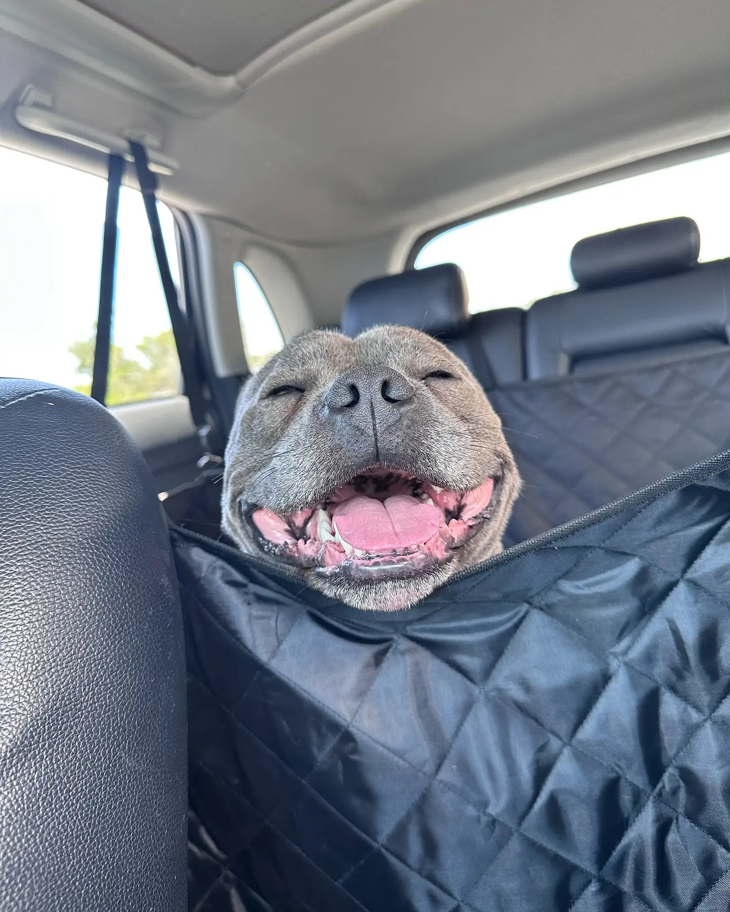 Premium Car Seat Protector