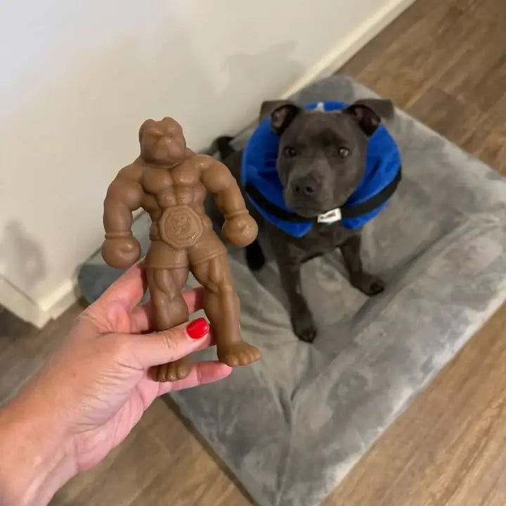 Staffy Balboa