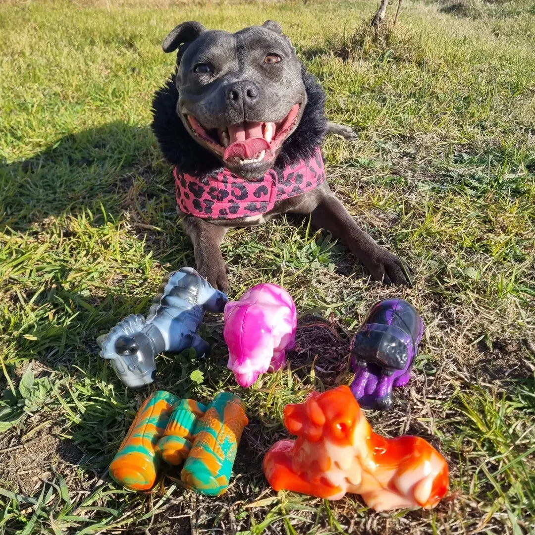 Chewzilla® Safari Collection