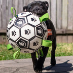 Ronaldog Soccer Ball