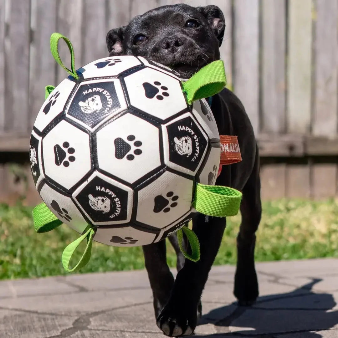 Ronaldog Soccer Ball