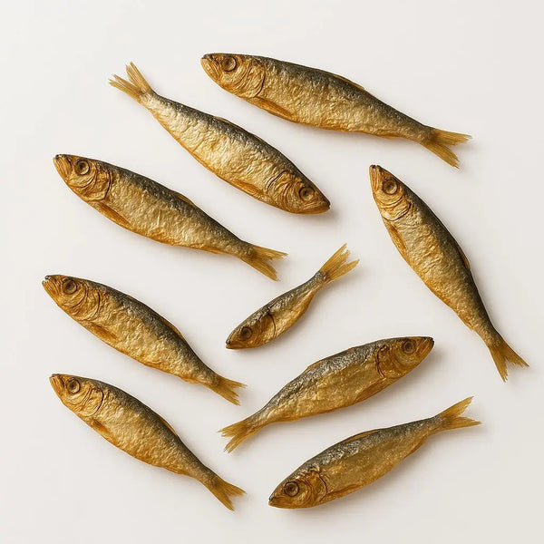 Wild Caught Sardines
