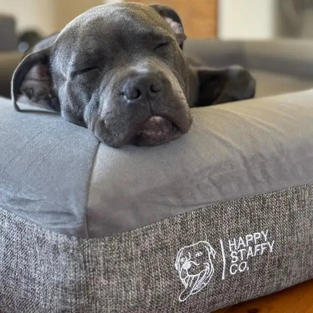 Deluxe Orthopedic Memory Foam Bed