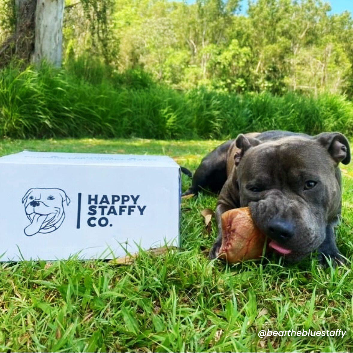 Treat & Toy Combo (Chewzilla®)