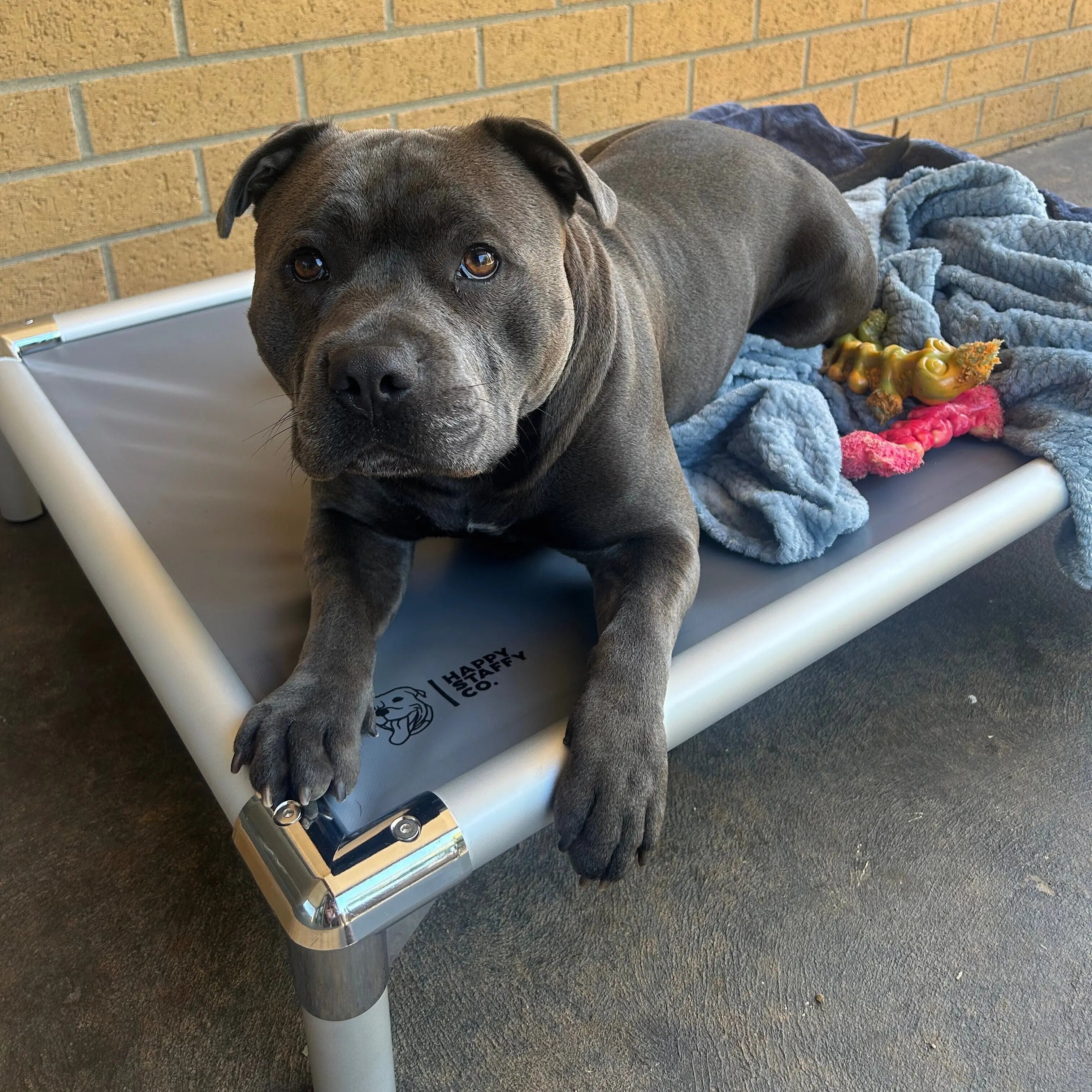 Chew-Proof Outdoor Dog Bed
