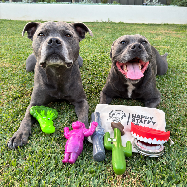 Treat & Toy Combo (Chewzilla®)
