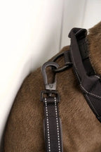 Anti Shock Bungee Leash