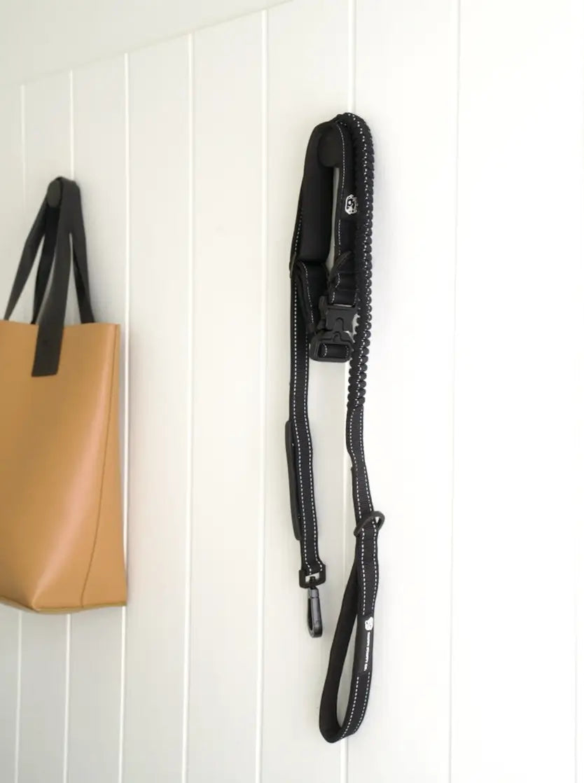Anti Shock Bungee Leash