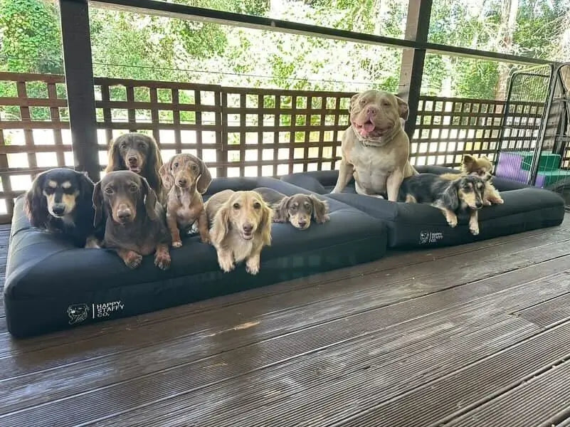 Durable Bed Cover