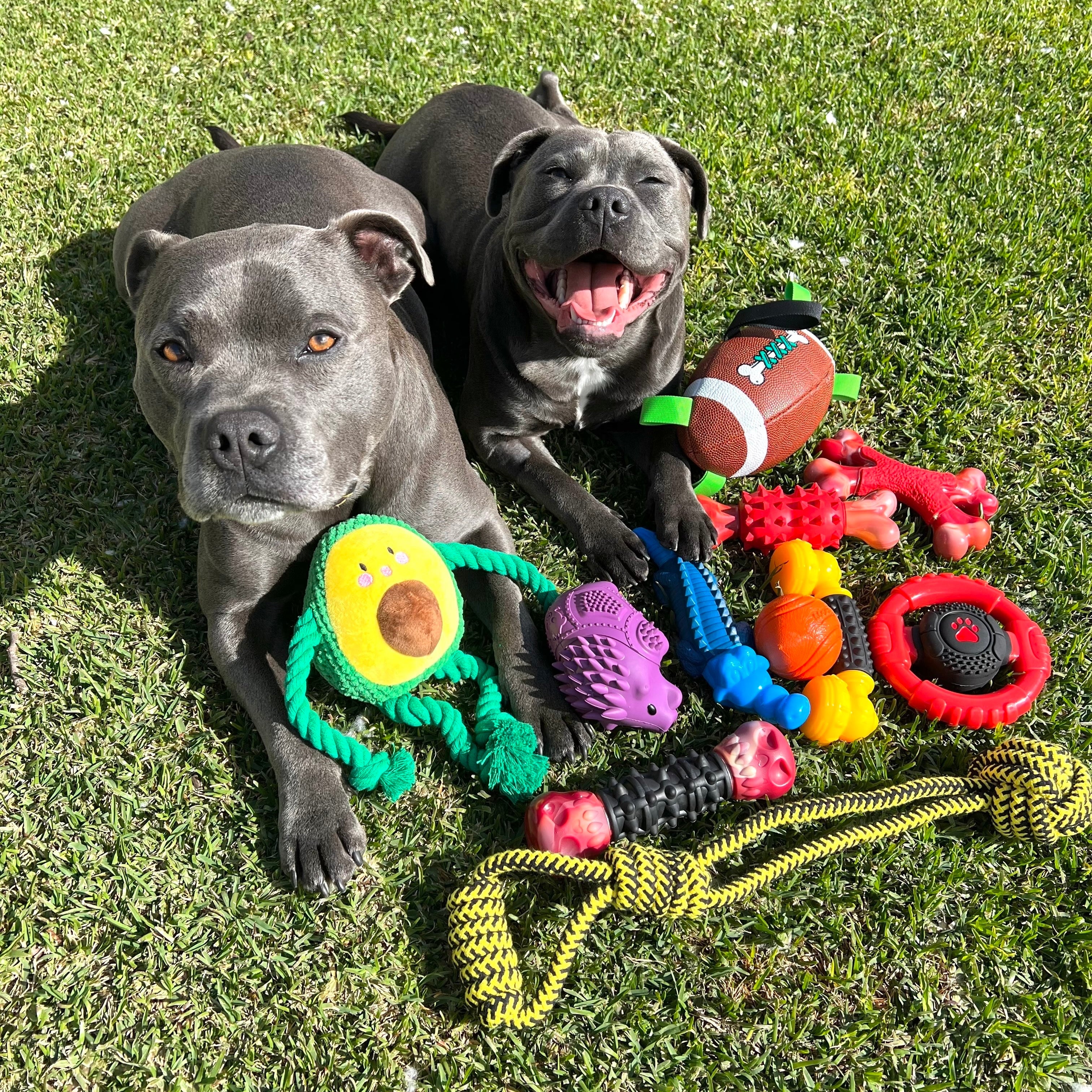 Treat & Toy Combo (PowerFlex™ Collection)