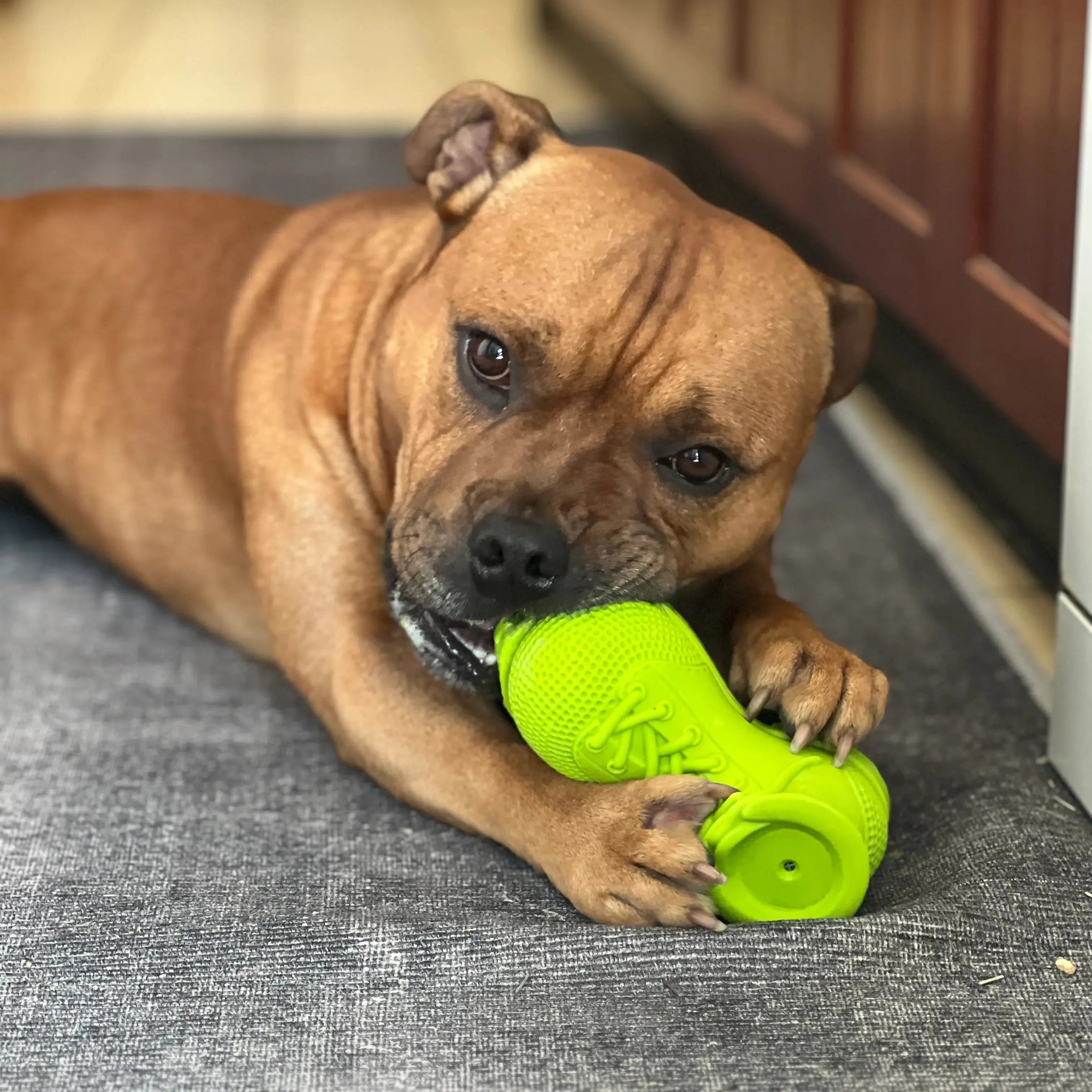 Squeaky Shoe