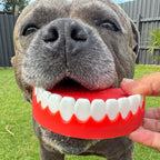 Chatter Chompers