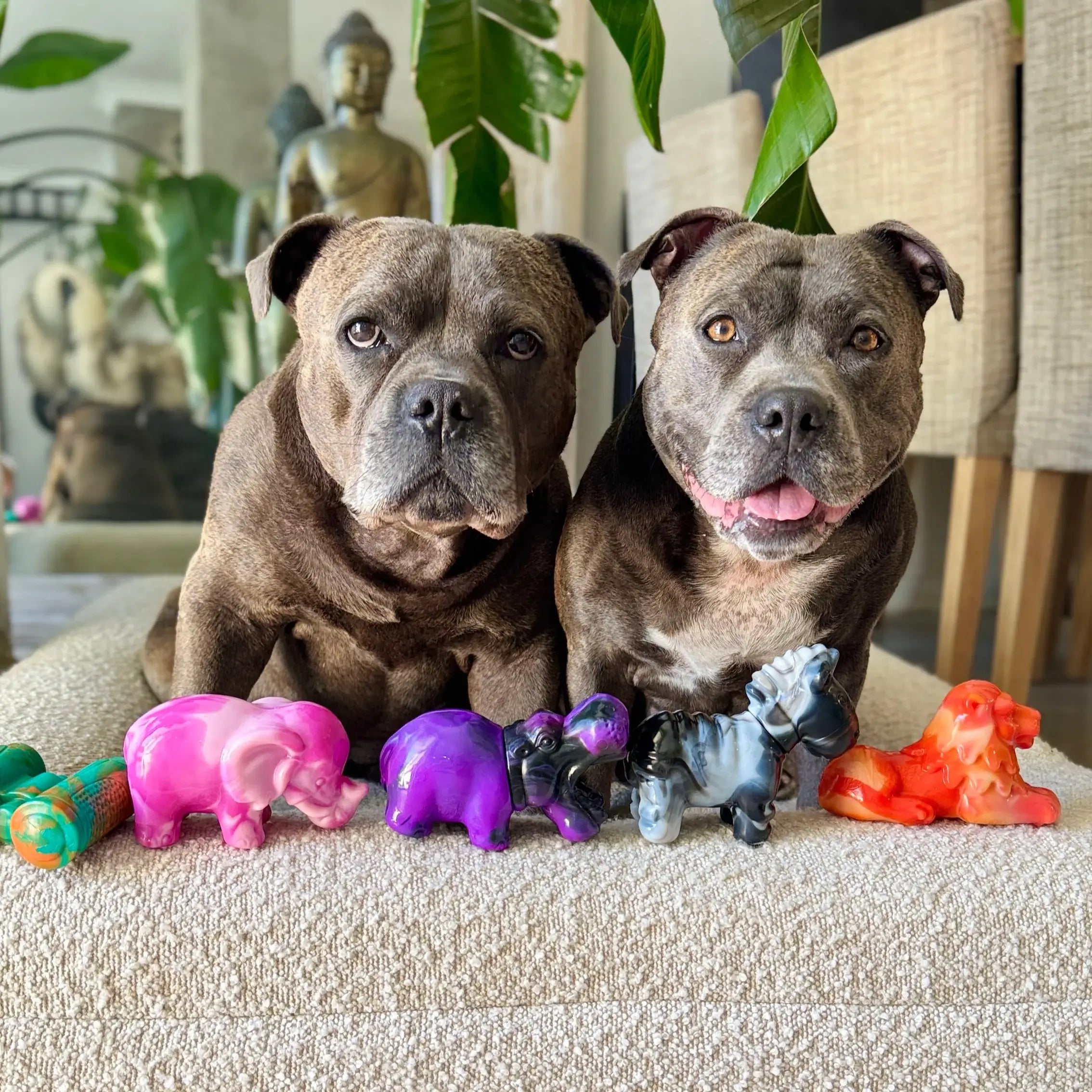 Chew-Proof Bundle