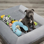 Ronaldog Soccer Ball