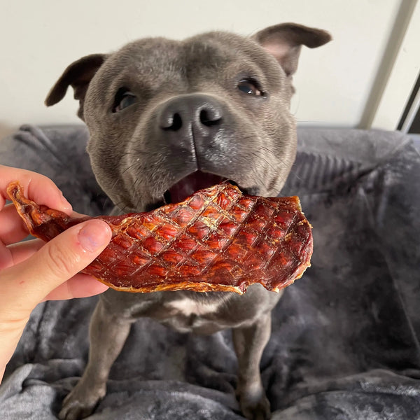 Natural Treat Bundle