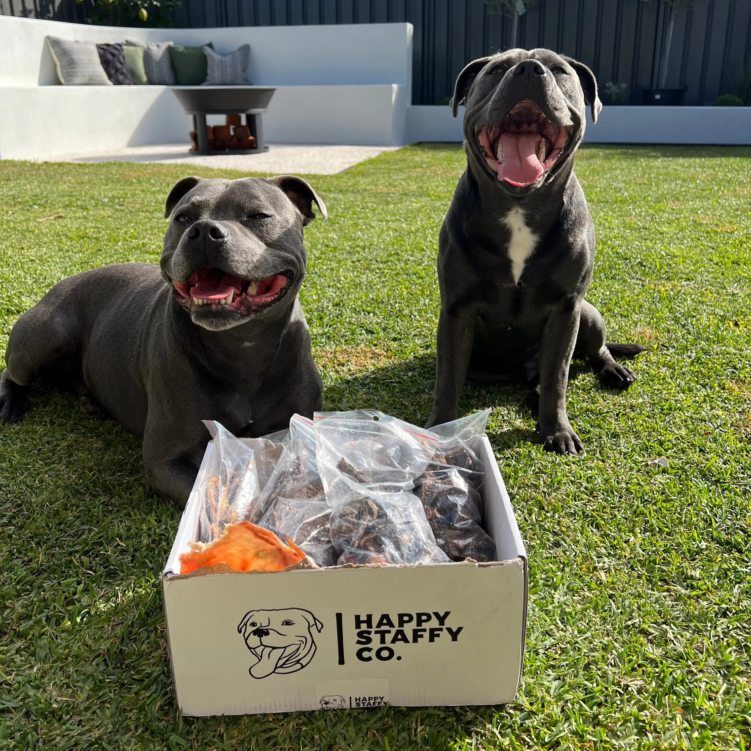 Premium Australian Pigs Ears