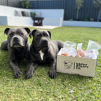 Premium Australian Pigs Ears