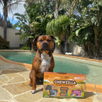 Chewzilla® Safari Collection