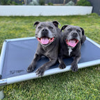 Chew-Proof Outdoor Dog Bed