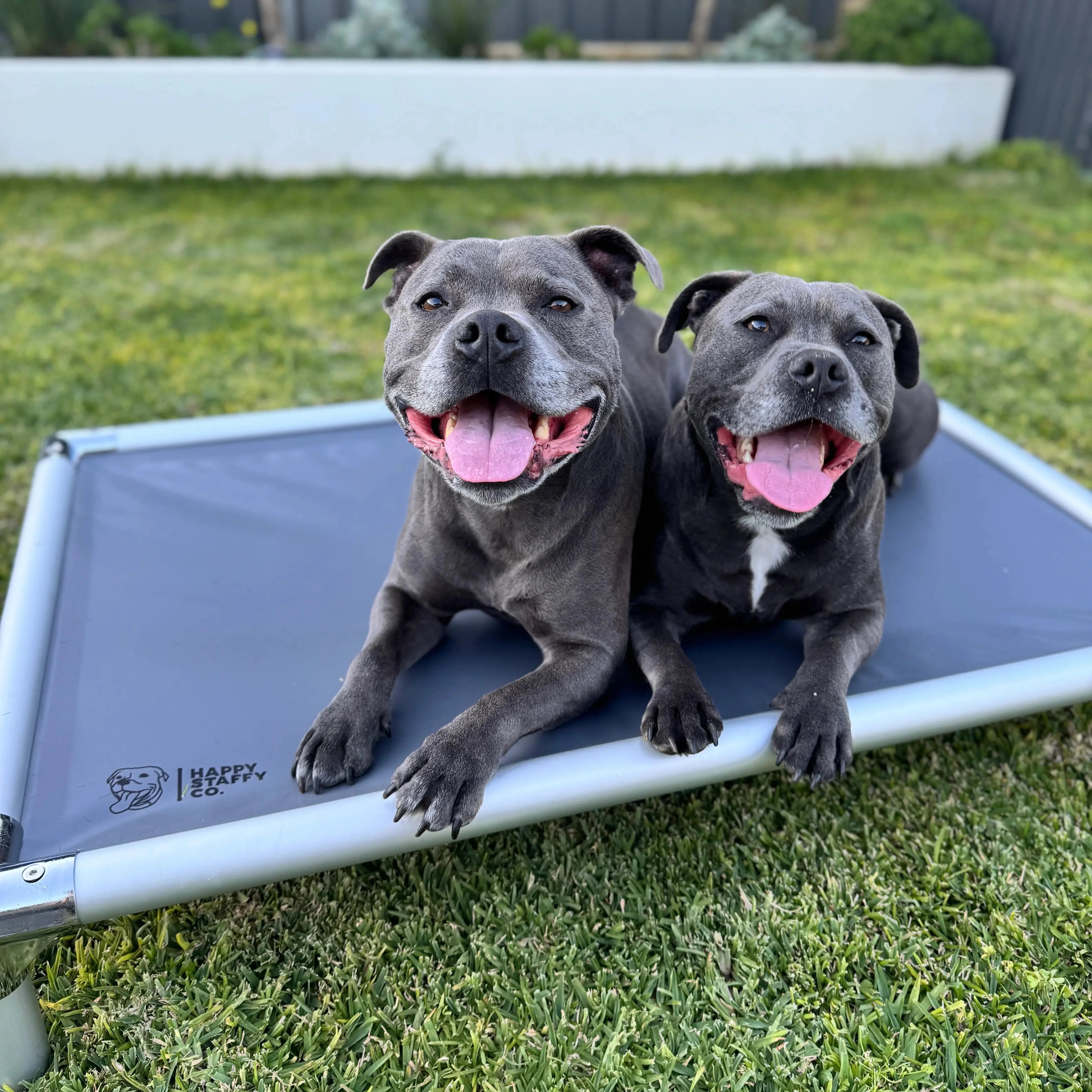 Chew-Proof Outdoor Dog Bed