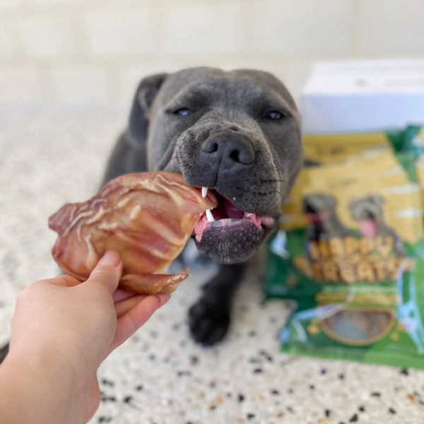 Premium Australian Pigs Ears