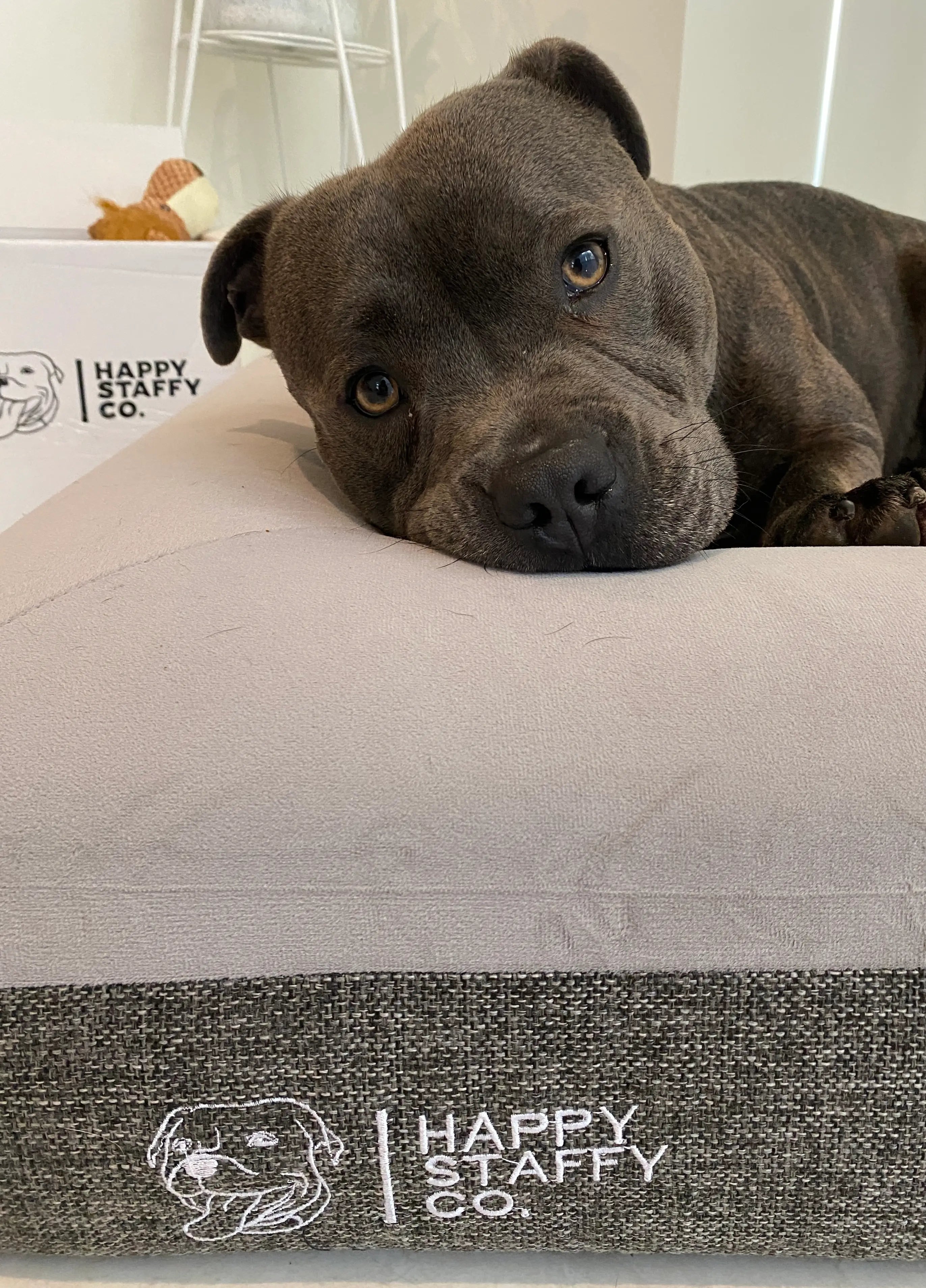 Deluxe Orthopedic Memory Foam Bed