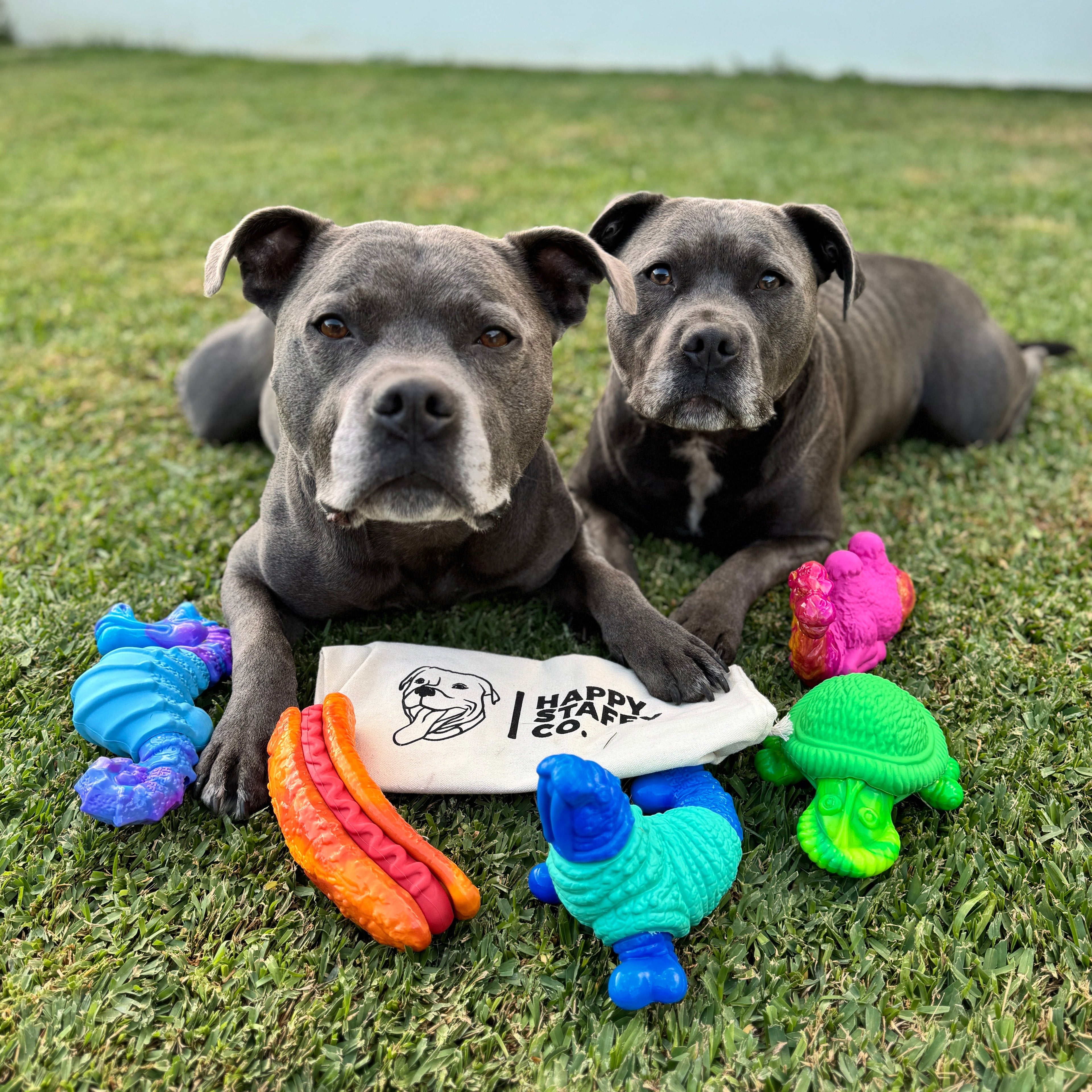 Treat & Toy Combo (PowerFlex™ Collection)