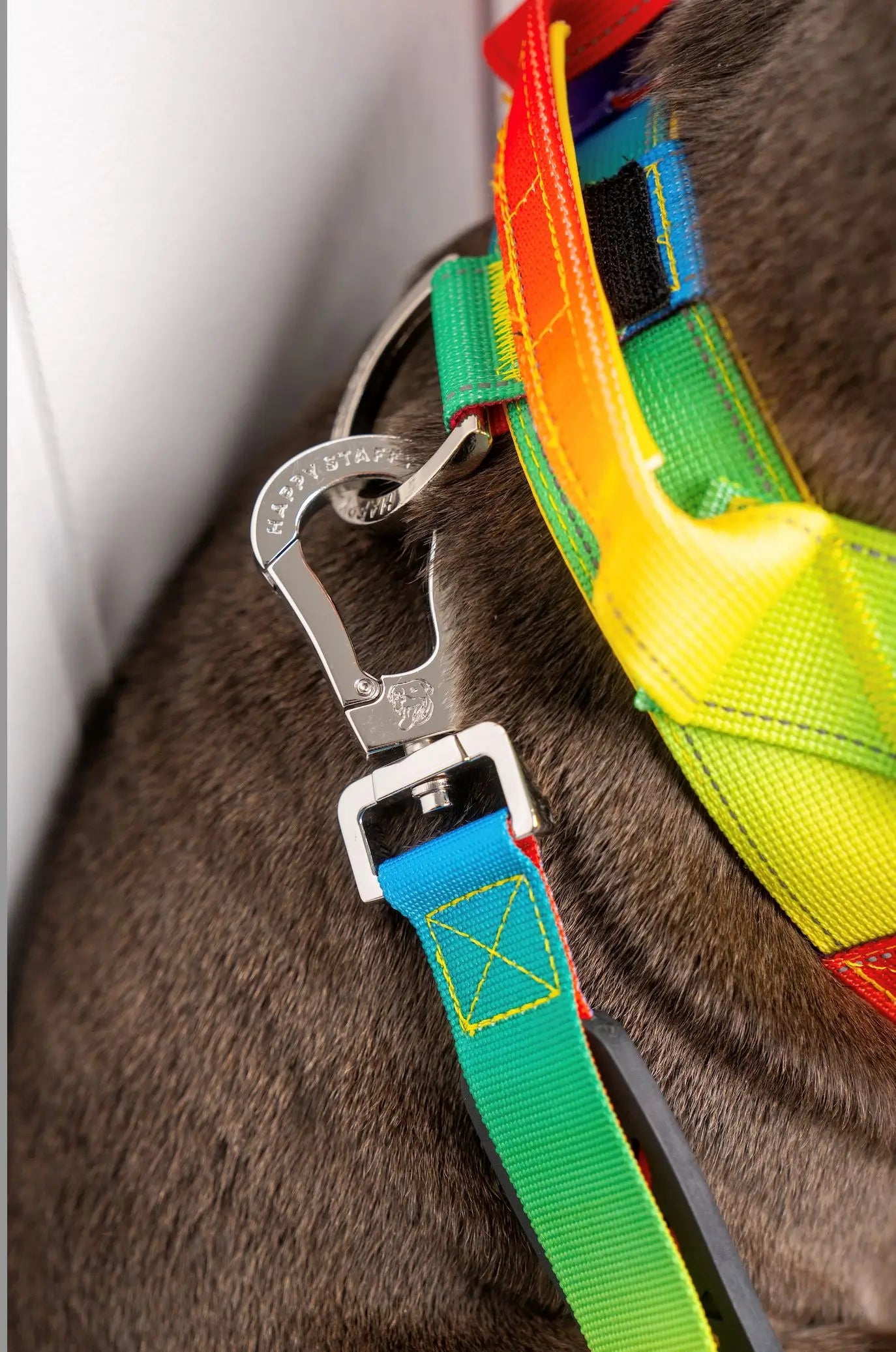 Anti Shock Bungee Leash