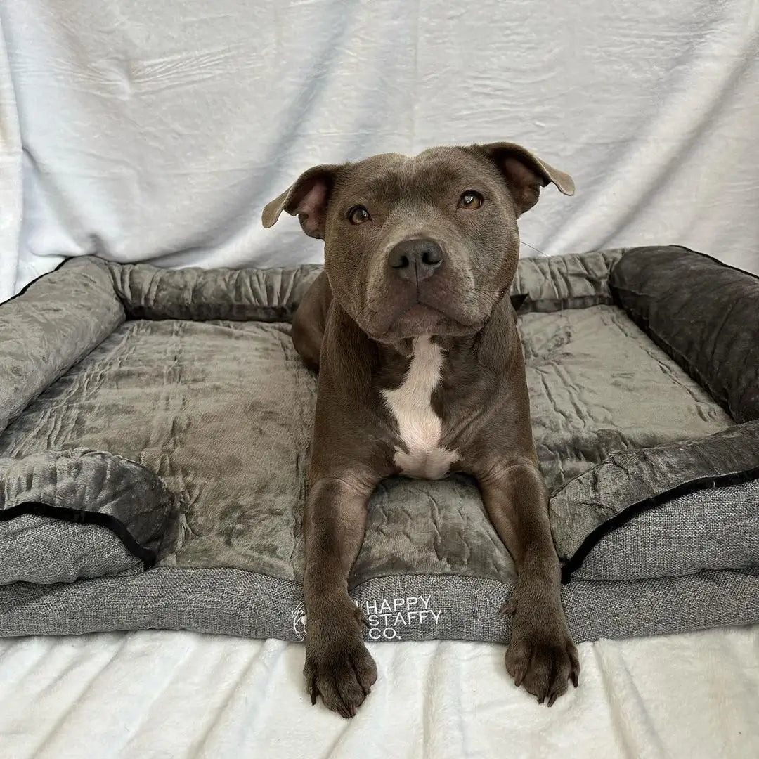 Calming Day Bed
