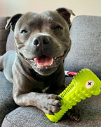 Crocodile Dental Chew