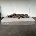 Orthopedic Memory Foam Bed + Pure Cotton Cover