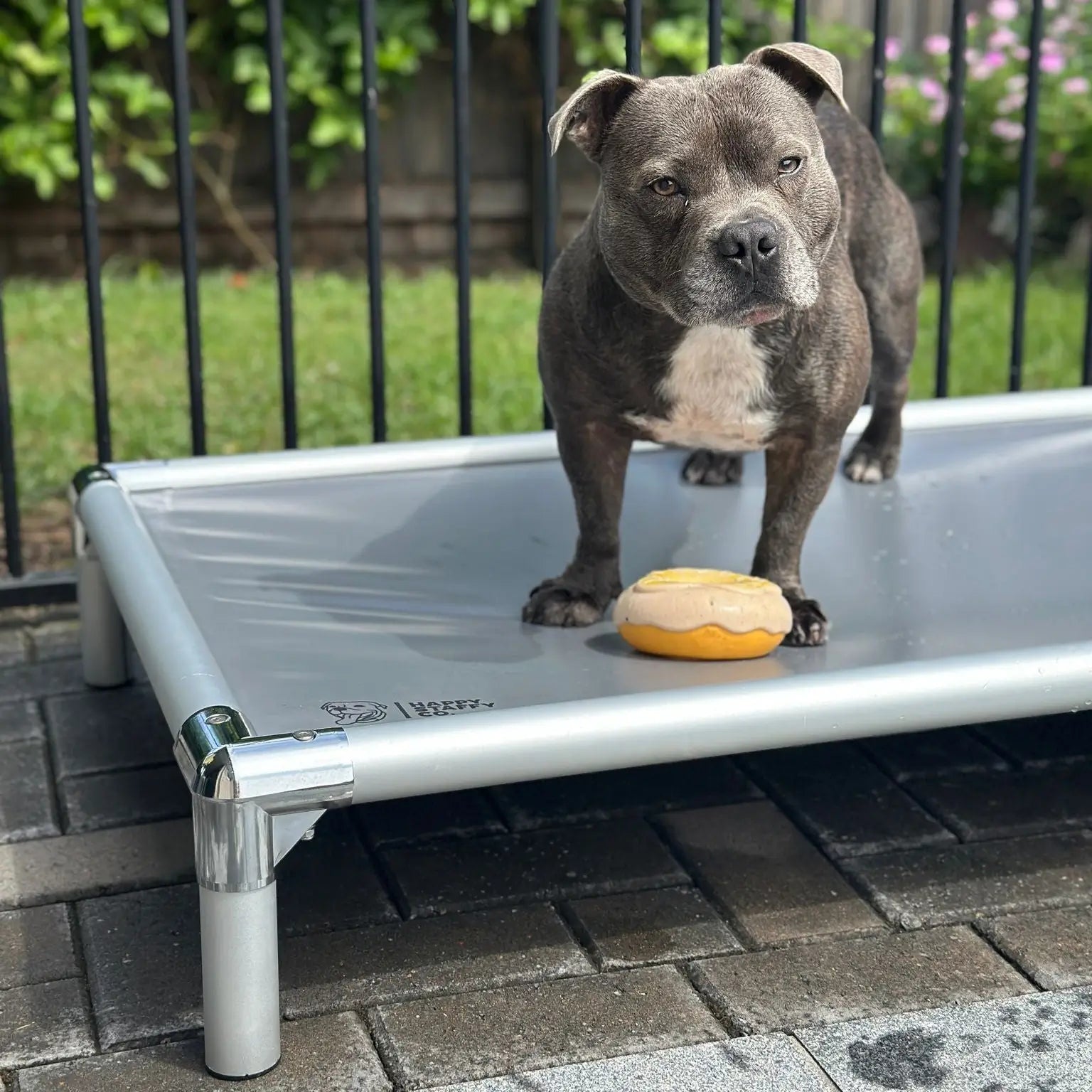 Chew-Proof Outdoor Dog Bed