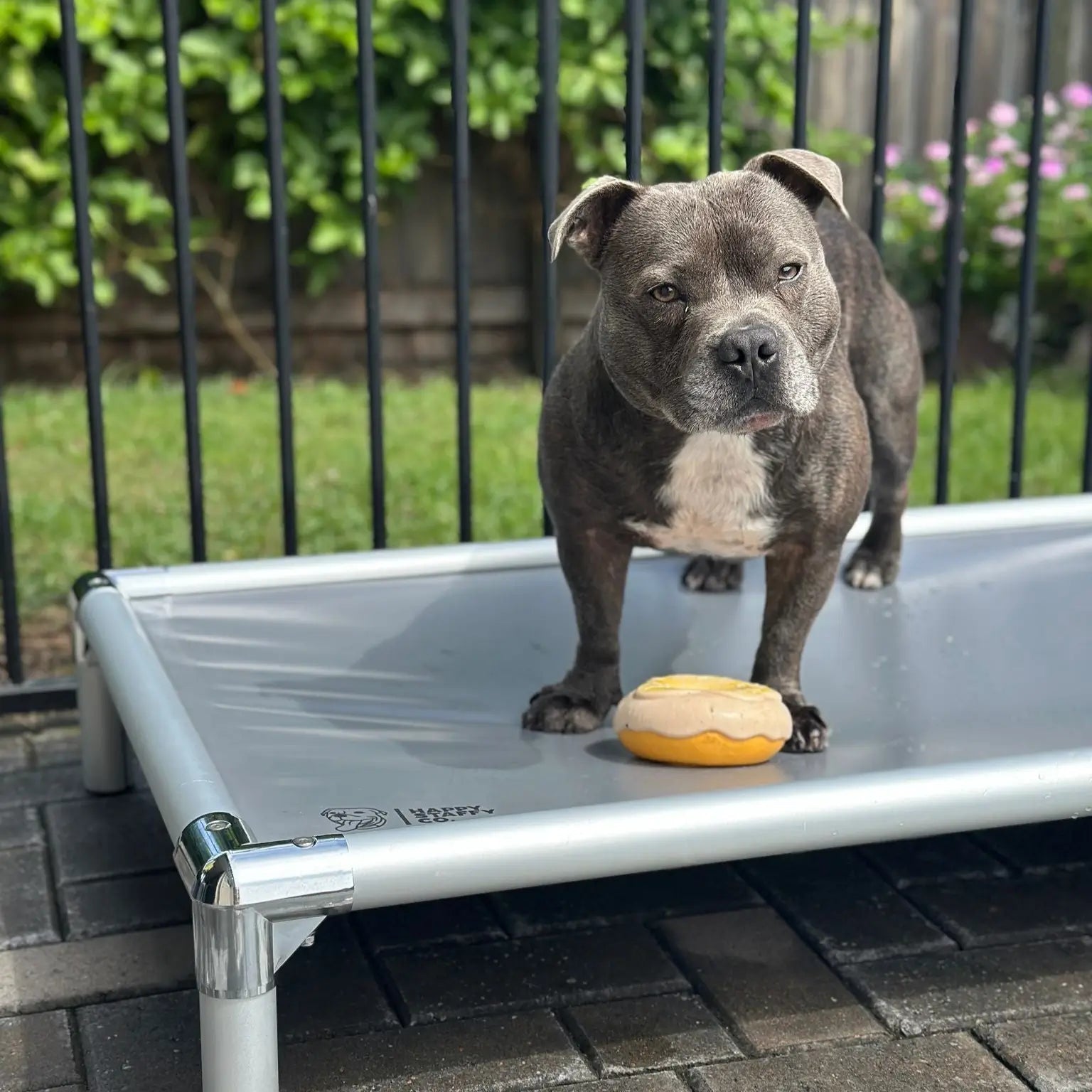 Chew-Proof Bundle