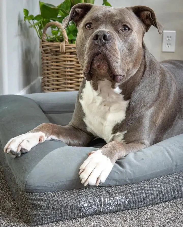 Deluxe Orthopedic Memory Foam Bed