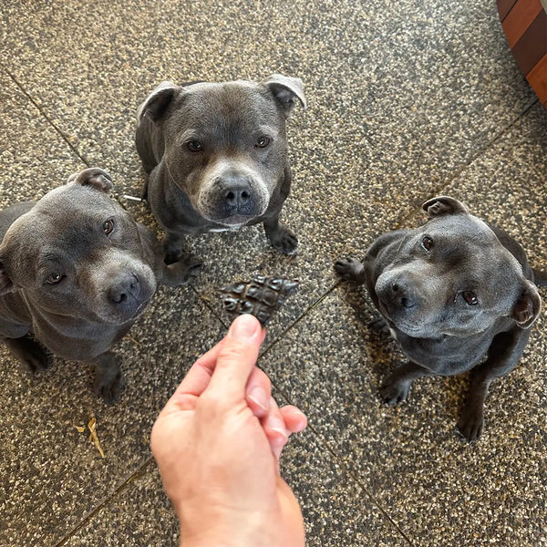 Beef Liver Dog Treats